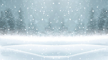 Winter Scene Cross Stitch Fabric